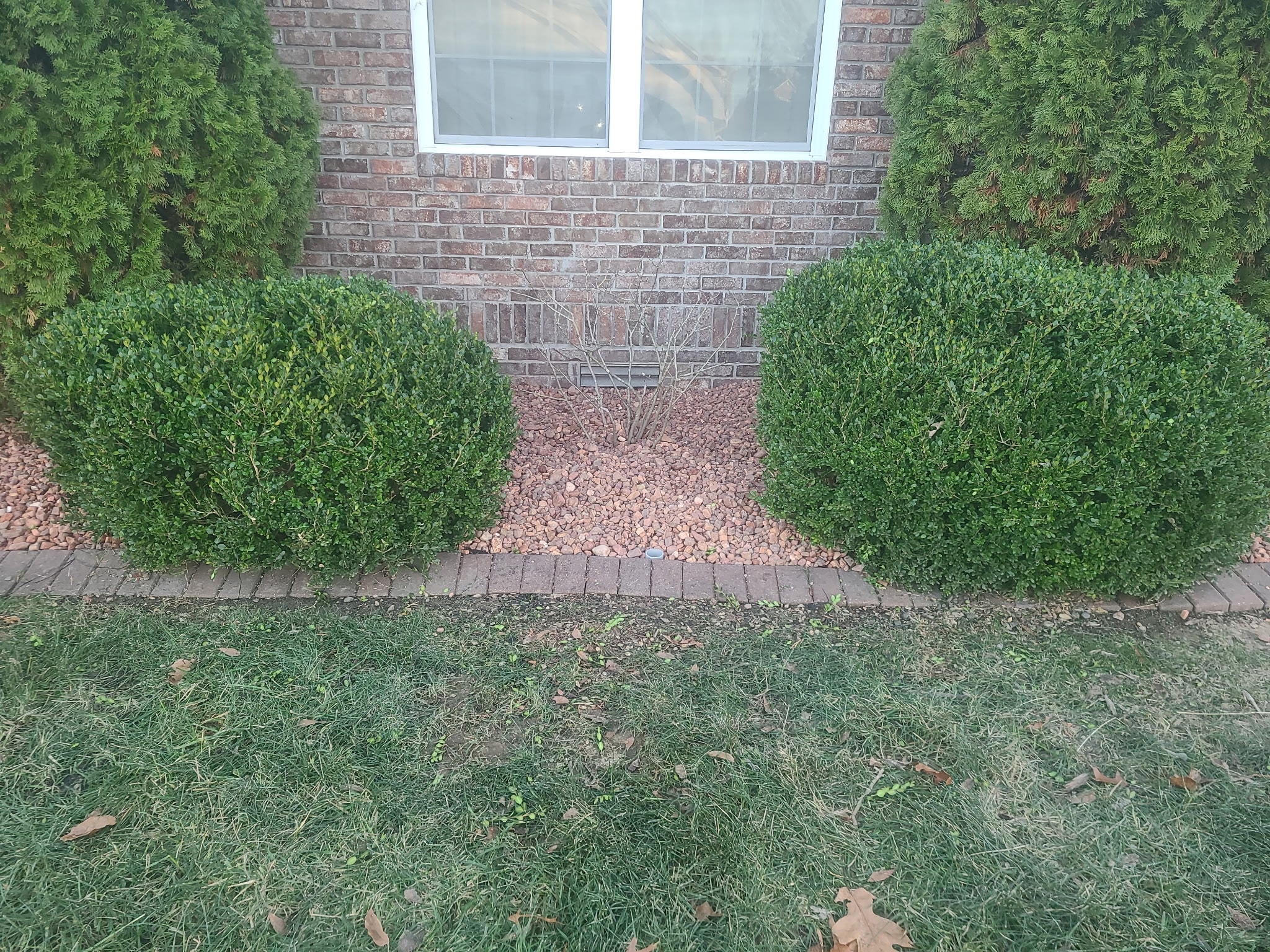 Landscape Maintenance